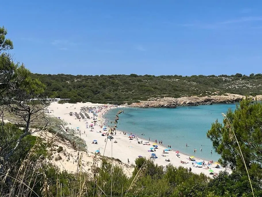 Precioso Apartamento En Primera Linea De Mar Son Parc Appartement